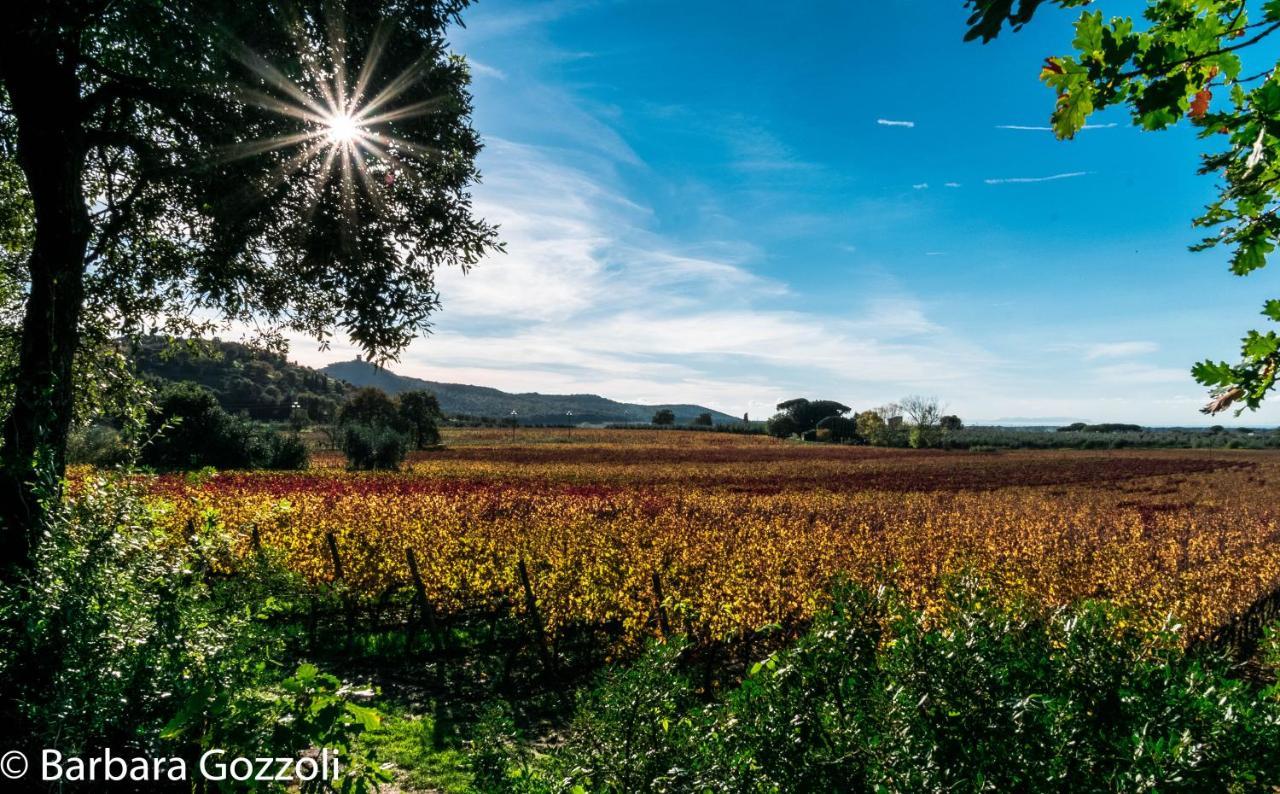 Podere Serena Appartamento David Donoratico Esterno foto